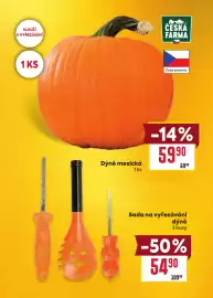 Billa leták týden 40 Strana 8: Dýně mexická €54,90, Česká farma dýně mexická €59,90