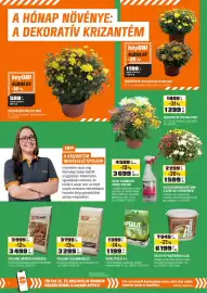 OBI akciós újság Oldal 4: Tekland szalmamulcs €3.299,00, Heyobi krizantém multiflora €599,00