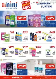 Catálogo Nini Mayorista semana 40 Página 10: Comfort suav.p/ropa varios €4.299,00, Ala jabón en polvo €9.499,00