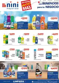Catálogo Nini Mayorista semana 40 Página 12: Pinoluz limp.liqu. botella fragancias €1.699,00
