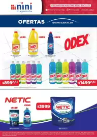 Catálogo Nini Mayorista semana 40 Página 13: Odex liquido limpiador €1.499,00, Odex liquido limpiador €899,00