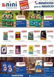 Catálogo Nini Mayorista semana 40 Página 48: Kongo Adul.Raz/Peq. Mix €18.999,00, King food adulto carne €4.399,00