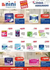 Catálogo Nini Mayorista semana 40 Página 7: Doncella toalla tanga pocket c/ alas €849,00