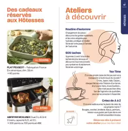 Catalogue Stanhome page 47: MOULINEX AIRFRYER Dual Fry & Grill €49,00, PLAT PEUGEOT €60,00