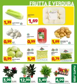 Volantino DPiù Pagina 11: Ficus Mix €12,99, Insalata iceberg €0,99