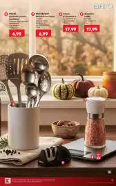 Catalog Kaufland săptămâna 40 Pagină 13