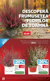 Catalog Kaufland săptămâna 40 Pagină 21