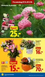 Lidl tilbudsavis Side 12