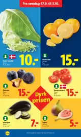 Lidl tilbudsavis Side 19: Aubergine €7,00, Spidskål €10,00