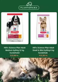 Plantorama tilbudsavis Side 4: Hill's Science Plan Adult Medium kylling €519,96, Hill's Science Plan €415,96