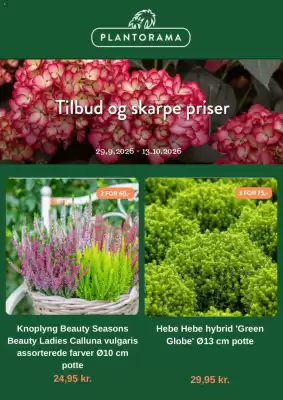 Plantorama (gælder indtil 13-10)