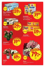 Nya Pulsen reklamblad vecka 40 Sida 13: Pedigree hundmat €119,00, Pedigree Dentastix €39,95