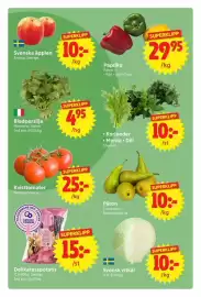 Nya Pulsen reklamblad vecka 40 Sida 6: Koriander Mynta Dill €10,00, Paprika €29,95