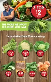 Spudshed catalogue week 40 Page 4: Cabbage €4,00, Continental Cucumbers €5,00