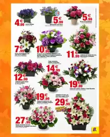 Catalogue Bazarland page 2: Composition mini-fleurs €5,99, Coupe mini-cœillets, violettes et mini-fleurettes €19,99