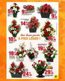 Catalogue Bazarland page 8: Jardinière 14 roses €24,99, Pot de roses, astromériás, gypso €5,99