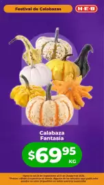 Folleto HEB Página 4: Calabaza Fantasía €69,95