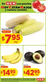Folleto HEB semana 40 Página 1: Elote Blanco €795,00, Plátano €14,95