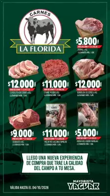 Catálogo Supermercados Yaguar (válido hasta 4-10)