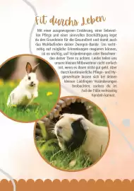 Zookauf Prospekt Seite 13