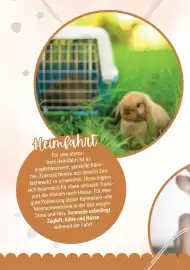 Zookauf Prospekt Seite 4