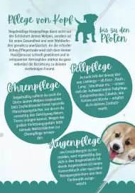 Zookauf Prospekt Seite 10