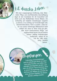 Zookauf Prospekt Seite 13