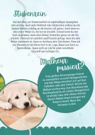 Zookauf Prospekt Seite 5