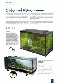 Zookauf Prospekt Seite 11