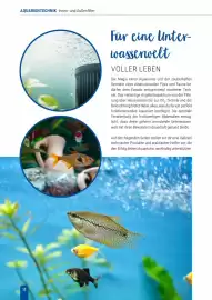 Zookauf Prospekt Seite 12