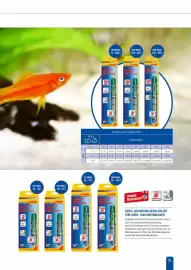 Zookauf Prospekt Seite 21