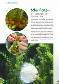 Zookauf Prospekt Seite 28
