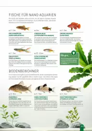 Zookauf Prospekt Seite 29