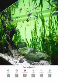 Zookauf Prospekt Seite 3