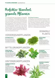 Zookauf Prospekt Seite 30