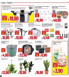 Volantino Famila Pagina 22: Ficus in vaso €10,90, Photos in basket €13,90