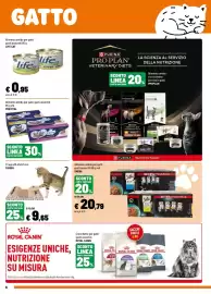 Volantino Iper La Grande Pagina 6: Tiragraffi Camon €9,65, Alimento umido per gatti gusti assortiti PREVITAL