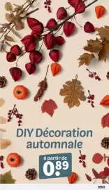 Catalogue Wibra page 10: A DIY Décoration automnale à partir de 089 wibra