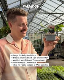 Bellaflora Flugblatt woche 40 Seite 4