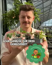 Bellaflora Flugblatt woche 40 Seite 1