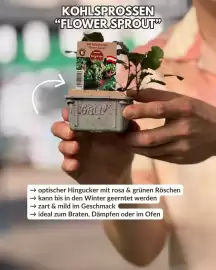 Bellaflora Flugblatt woche 40 Seite 3