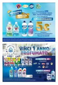 Volantino Famila Superstore Pagina 9: CHAN Spuma di ciampagna QUASAR Eficacia Professionale Vert EFFICACE PER NATURA CHAA