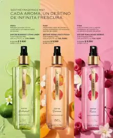 Catálogo L'Bel Página 16: Destiné Vienna Fruity Peach Fine Fragrance Mist €9.990,00, Destine Budapest Citrus Limon €9.990,00
