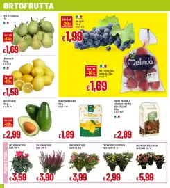 Volantino Galassia superstore Pagina 4: Avocado Hass €2,99, Pere cestino €1,69