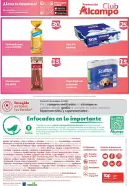 Folleto Alcampo Página 8: Skyr 0% Danone, Scottex papel higiénico acolchado