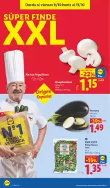 Catálogo Lidl semana 41 Página 40: Chef Select brotes tiernos maxi €1,35, Berenjena €1,49