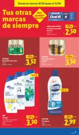 Catálogo Lidl semana 41 Página 49: H&S Champú €3,30, Pantene mascarilla repara y protege €3,56