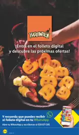Catálogo Lidl | Bazar Página 26