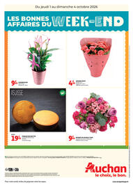 Catalogue Auchan Supermarché | Les bons plans du week end dans votre hyper page 2: Flair Begonia en pot €4,99
