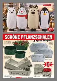 Krümet Sonderposten Prospekt Seite 4: Winter-Pflanzenhaube €2,99, Schöne pflanzschalen €1,99